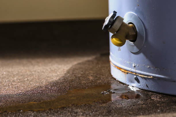 Best Flooded house restoration  in Chandler, AZ