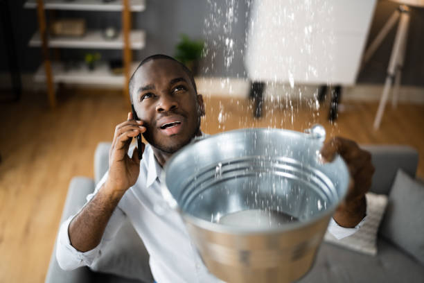 Best Basement water damage restoration  in Chandler, AZ
