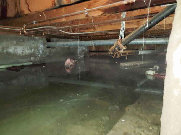 Best Commercial water damage restoration  in Chandler, AZ