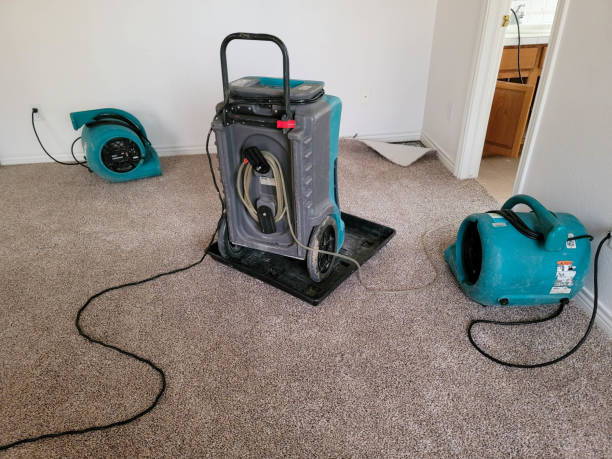 Best Mold removal after water damage  in Chandler, AZ