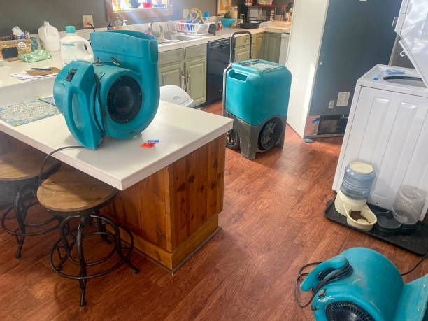  Chandler, AZ Water damage restoration Pros