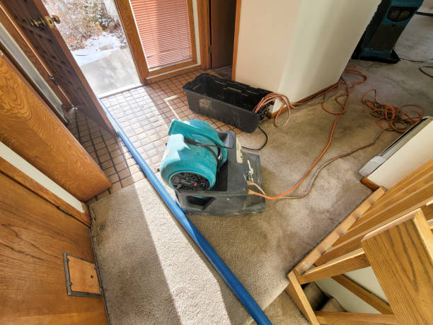 Best Basement water damage restoration  in Chandler, AZ