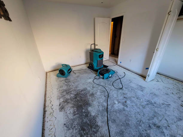 Best Professional water damage repair  in Chandler, AZ