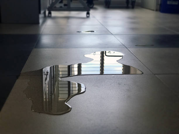 Best Water damage contractors near me  in Chandler, AZ