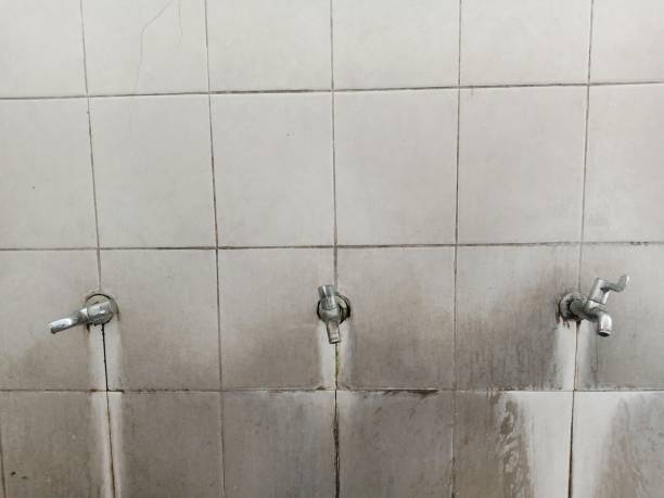 Best Commercial water damage restoration  in Chandler, AZ