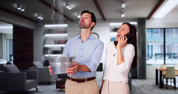 Best 24/7 water damage repair  in Chandler, AZ