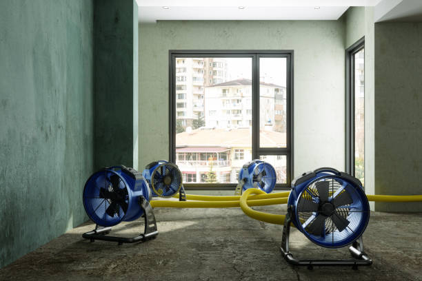 Water damage restoration insurance claims in AZ